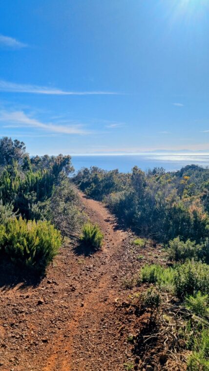 Elba.Life - Discover the best MTB routes on Elba: 5 mountain bike adventures to discover the island 🚴🏼‍♀️