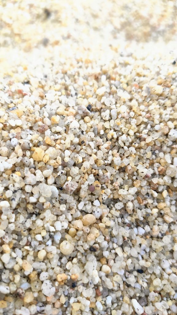 Elba.Life - Sabbia, sassi e scogli: scopri i mille colori dell'Isola d'Elba 🐚