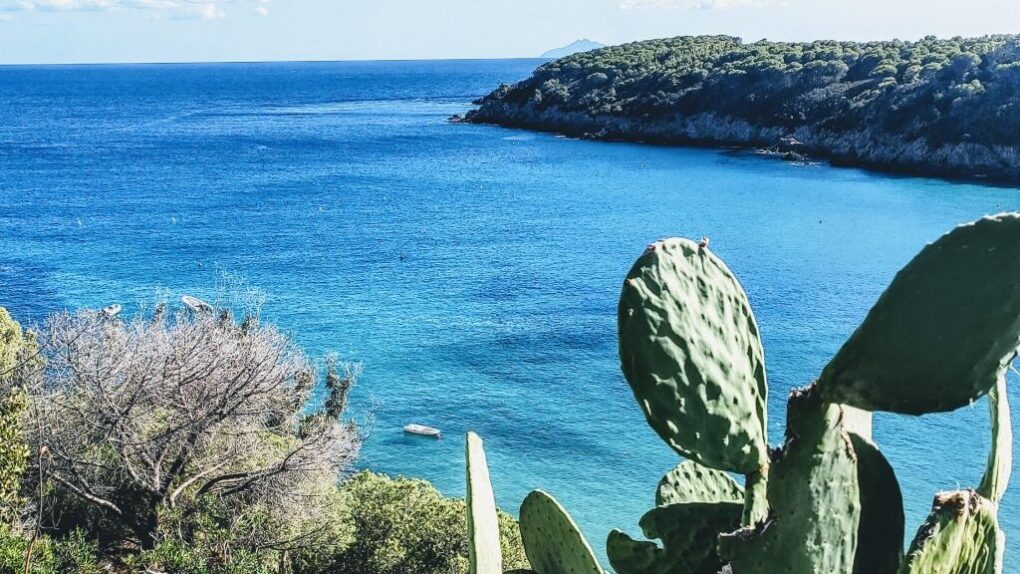 Elba.Life - 10 panoramic paths not to be missed on the Island of Elba📍🧭
