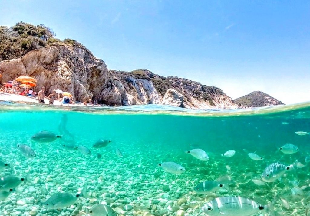 Elba.Life - Snorkeling 🤿🐠 #5 posti imperdibili all'Elba
